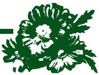 Blumenhaus Joh. Schmidl
